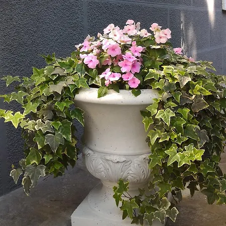 Le Magnolie ベッド・アンド・ブレックファスト ガッララーテ