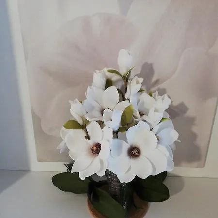 Le Magnolie * Gallarate