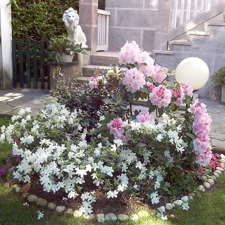 Le Magnolie * Gallarate