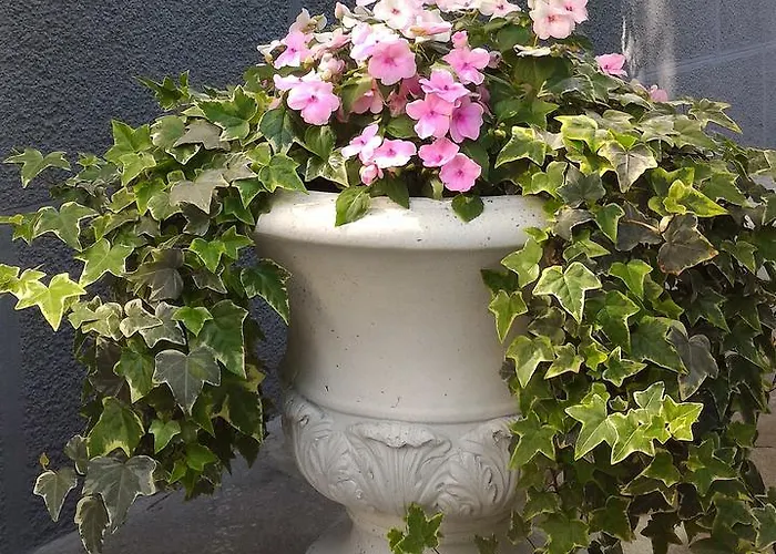 Le Magnolie Bed & Breakfast Gallarate